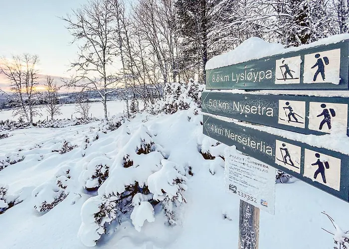 Semesterbostad In With Kitchen Vinstra